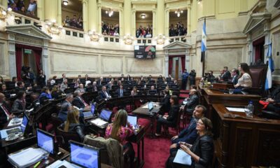 Senado y debate por la dieta.