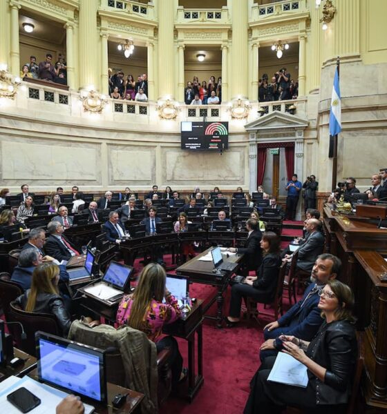 Senado y debate por la dieta.