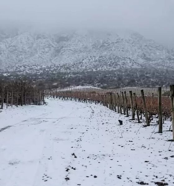 nevadas en san juan