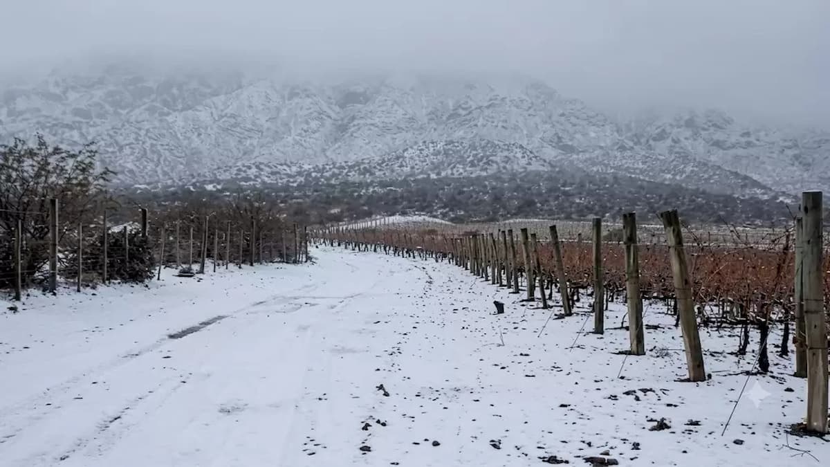 nevadas en san juan